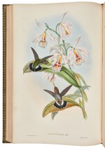 John Gould | A Monograph of the Trochilidae or Family of Humming-Birds, London, 1849-87, 6 vols, green morocco gilt