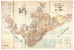 Constantinople, map of Beyoğlu (Pera), c.1924