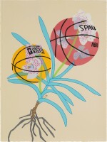 Double Basketball Orchid 2 (State 1)