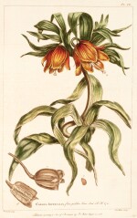 Miller | Figures of the most beautiful... plants, 1755-1760, 2 volumes