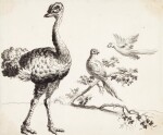 A) An ostrich and pheasants B) A pair of peacocks and other birds