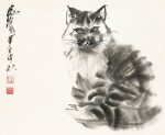 黃冑 貓  | Huang Zhou, Cat