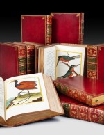 Histoire naturelle des Oiseaux. 1770-1786. 10 vol. in-folio. Remarquable ex. en mar. rge avec pl. coloriées
