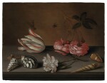 A tulip, a carnation and roses, with shells and insects, on a ledge