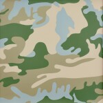 Camouflage (F. & S. II.407) | 迷彩（F. & S. II.407）