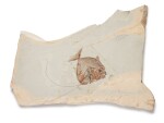 Fossilized Moonfish Plaque