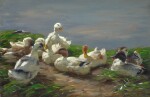 ALEXANDER KOESTER | Nine Ducks on a Pond