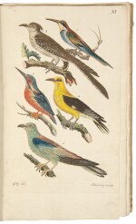 Brehm, Christian Ludwig. First edition of a "classic treatise on mid-European avifauna"