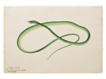 A green snake, Company School, Madras, dated 25 July 1839