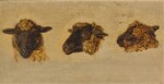Three studies of blackfaced sheep heads