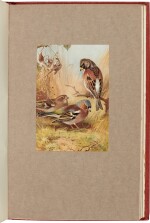 Archibald Thorburn | British Birds, New Edition, 4 volumes, London: Longmans, Green and Co., 1925-26, limited edition