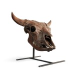 The Complete Fossilized Skull of an Ancient Bison