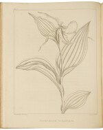 Barton, William Paul Crillon. A rare uncolored issue of an important American flora, richly illustrated