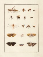Cirillo | Entomologiae neapolitanae specimen primum, Naples, 1787, calf-backed boards