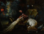 Pheasants, a red cardinal and ducks in a landscape