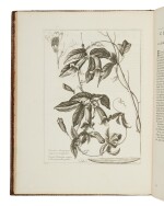 Dodart, Dionys | "one of the great books in the history of botanical illustration"