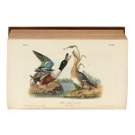 Audubon, John James  | An original subscriber's copy of the first octavo edition of Audubon's The Birds of America