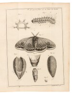 René Antoine Ferchault de Réaumur | Mémoires pour server a l'histoire des insects, 1734-1742, 6 volumes, finely bound