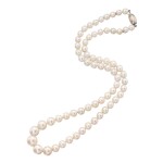 Natural Pearl Necklace [天然珍珠項鏈]