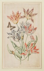 DUTCH SCHOOL, 18TH CENTURY | An arrangement of six tulips, with a swallowtail butterfly, snails, ants and other insects