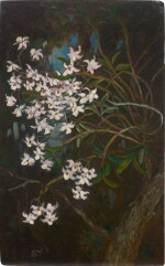 U NGWE GAING | FLOWERS ON BRANCHES 樹枝花卉