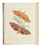 Donovan, Edwards | First edition of a rare catalog of South Seas insects
