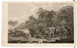 Captain James Cook and Captain James King | Troisième Voyage de Cook with Cartes et Figures, 5 vols, 1785