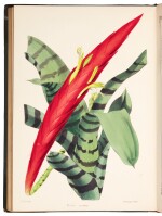 Moore | The Gardeners' Magazine of Botany, 1850