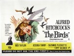 THE BIRDS (1963) POSTER, BRITISH