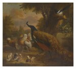 JAKOB BOGDÁNY | A LANDSCAPE WITH A PEACOCK, A MAGPIE, AND OTHER VARIOUS BIRDS