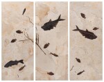 Multi-Fish Triptych Mural
