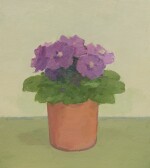 ALBERT YORK | PLANT WITH PURPLE FLOWERS IN A TERRACOTTA POT