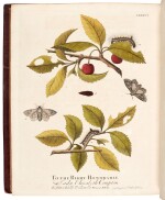 Eleazar Albin | A Natural History of English Insects, London, 1720, subscriber's copy, red morocco