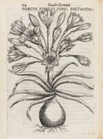 Canadensium plantarum historia. Paris, 1635. Velin souple moderne. Premier livre sur les plantes du Canada.