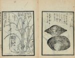 Taki Gentoku (Taki Motonori (1731-1801) (compiler) | Useful Remedies for Sudden Illness (Kokei saikyu ho) | Edo period, 19th century