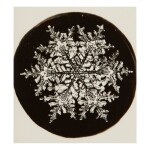 WILSON A. BENTLEY | SELECTED IMAGES OF SNOWFLAKES