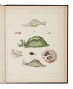 Adams, Arthur | A charming collection of plates drawn from a landmark voyage 
