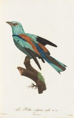 LEVAILLANT. Histoire naturelle des oiseaux de Paradis... Paris, [1801-]1806. 2 vol. grand in-folio. Demi-percaline.