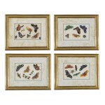 A SET OF EIGHT CHINESE EXPORT PAINTINGS ON PITH PAPER, QING DYNASTY, 19TH CENTURY 