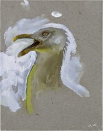 Gull Alarmed