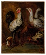 A rooster, three chickens, and a guinea pig