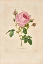 Pierre-Joseph Redouté | Le Bouquet Royal oeuvre posthume, Paris, 1843, original boards