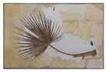 Rare Fossil Palm Frond With Fish