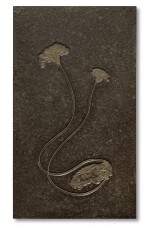A Double Fossil Sea Lily (Crinoid) Mural