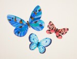 Trois dessins de papillons