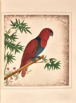 Chinese School | Albums of watercolours of flowers, fruit, birds and silkworms, circa 1800
