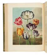 Thornton, Robert John | The Age of Romanticism fully blooms