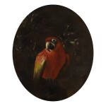 CONTINENTAL SCHOOL, 19TH CENTURY | RED PARROT WITH A BRANCH IN ITS BEAK