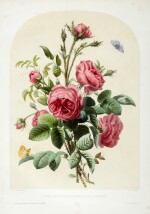 Pierre Joseph Redouté | Collection de beaux bouquets, circa 1850-1855