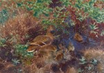 BRUNO LILJEFORS | Ducks on a Pond